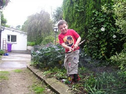 Wexford childcare garden
